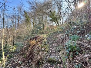 Woodland- click for photo gallery